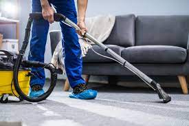 Tips for Choosing the Right Professional Carpet Cleaner